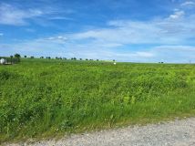 Działka budowlana Piotrowice