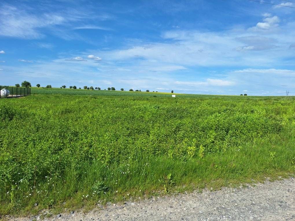 Działka budowlana Piotrowice