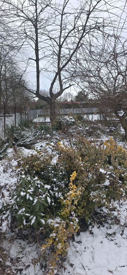 Działka rod Oświęcim Stare Stawy. Zdjęcie 2