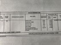 Działka rolna Sarbka. Zdjęcie 1