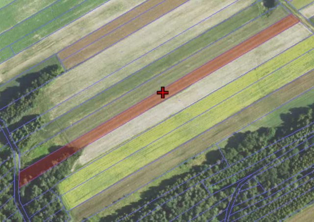 Działka rolna Grodzisko Górne. Zdjęcie 1