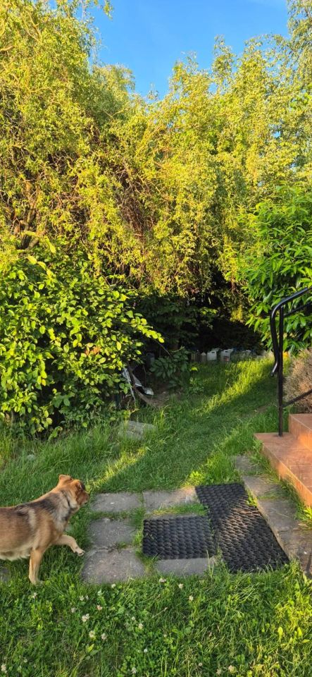 dom wolnostojący, 5 pokoi Sadów Kopce, ul. Powstańców Śląskich. Zdjęcie 81