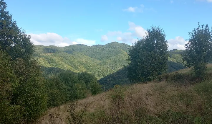 Działka rolno-budowlana Tylmanowa Ziemianki, os. Ziemianki