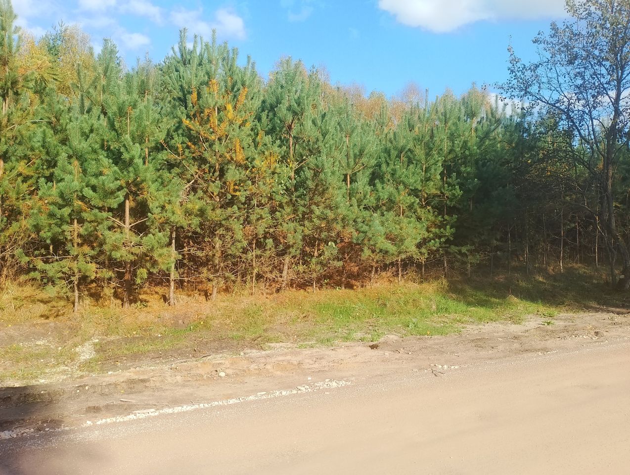 Działka budowlana Ewina. Zdjęcie 6