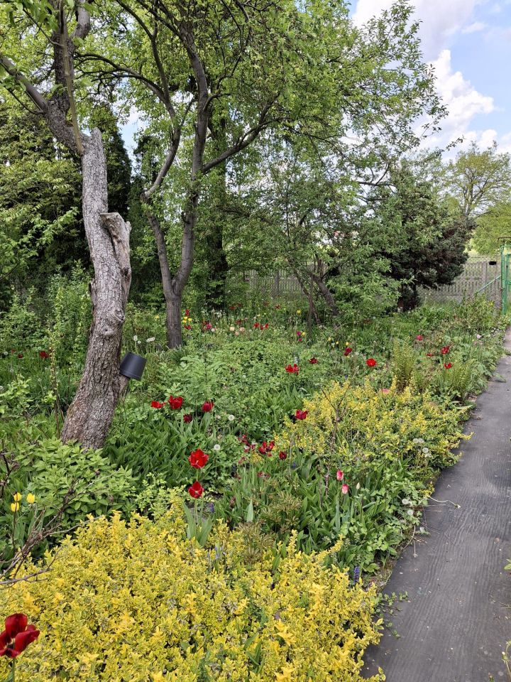 Działka rod Katowice Załęska Hałda, ul. Feliksa Bocheńskiego. Zdjęcie 2