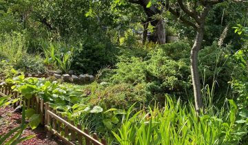 Działka rod Szczecin Warszewo, ul. Wkrzańska