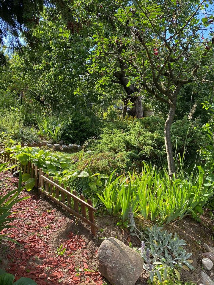 Działka rod Szczecin Warszewo, ul. Wkrzańska. Zdjęcie 2