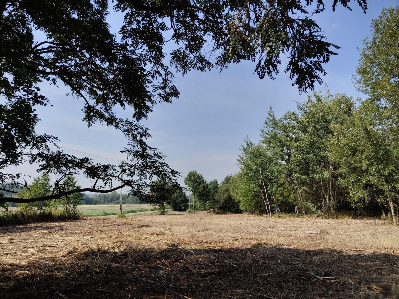 Działka budowlana Jabłonna Pierwsza. Zdjęcie 17