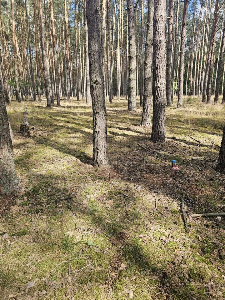 Działka rekreacyjna Radzyń. Zdjęcie 5