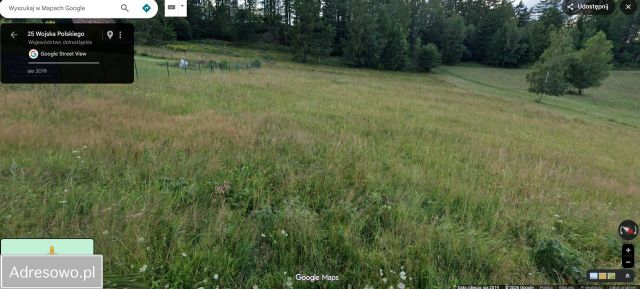 Działka budowlana Międzygórze, ul. Wojska Polskiego. Zdjęcie 1