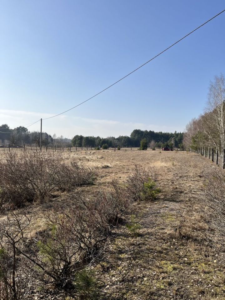 Działka rolna Wysoka. Zdjęcie 3