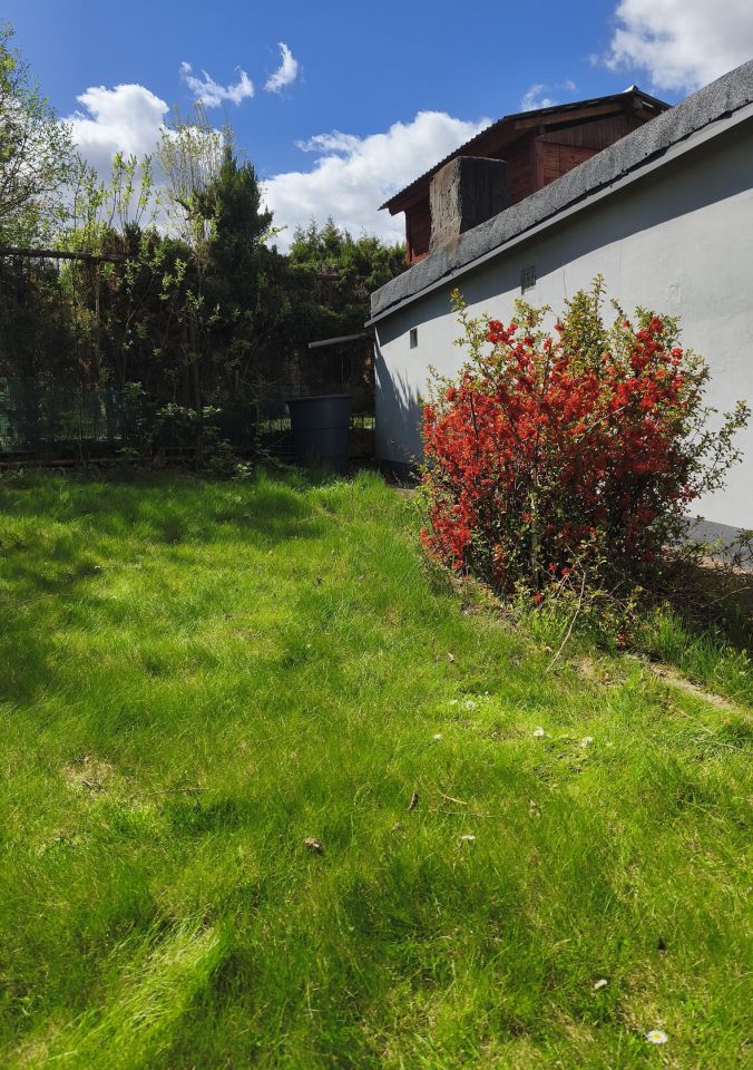 Działka rod Siemianowice Śląskie Centrum, ul. Pawła Śmiłowskiego. Zdjęcie 6