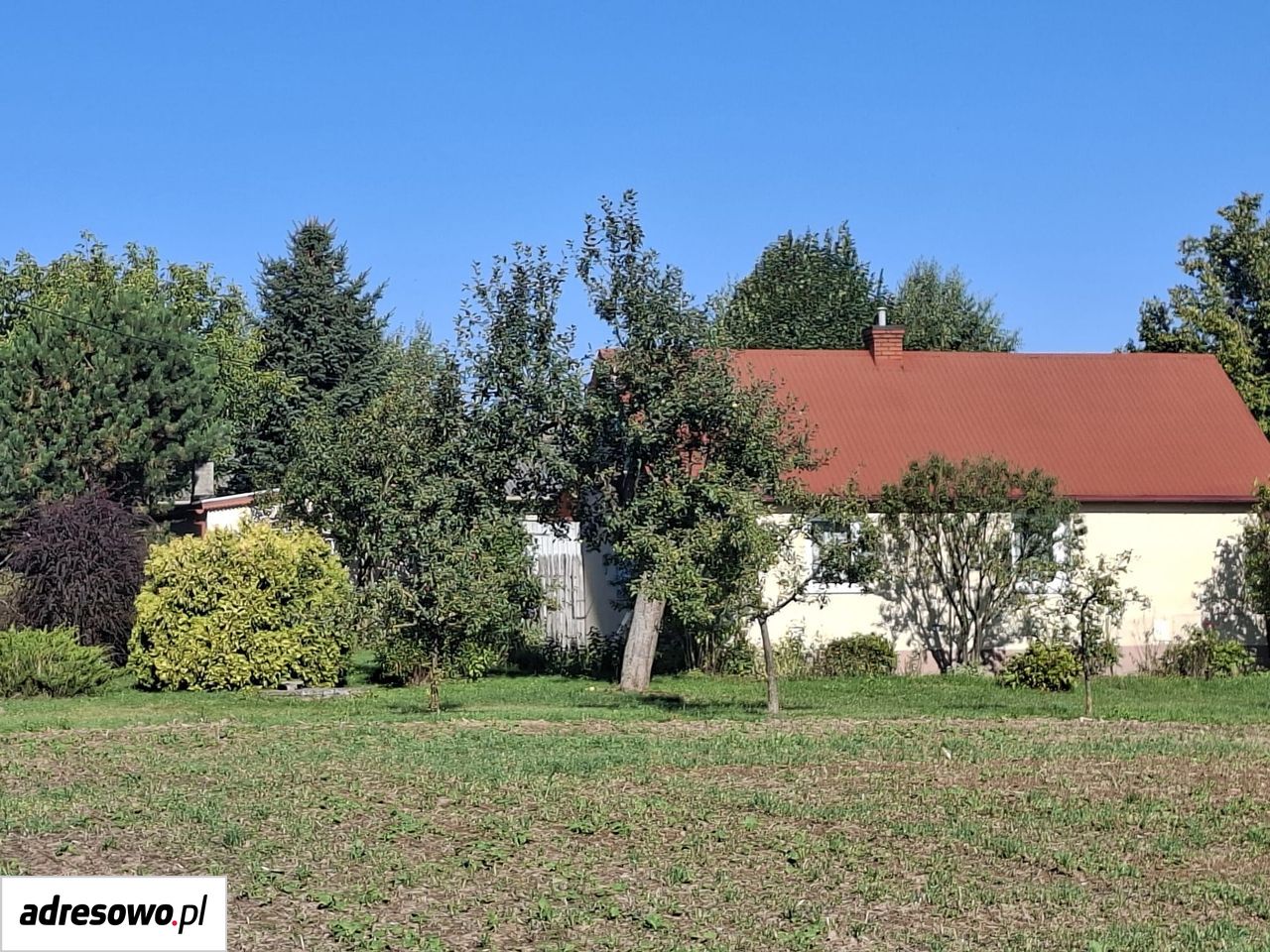 Działka siedliskowa Miłocin. Zdjęcie 6