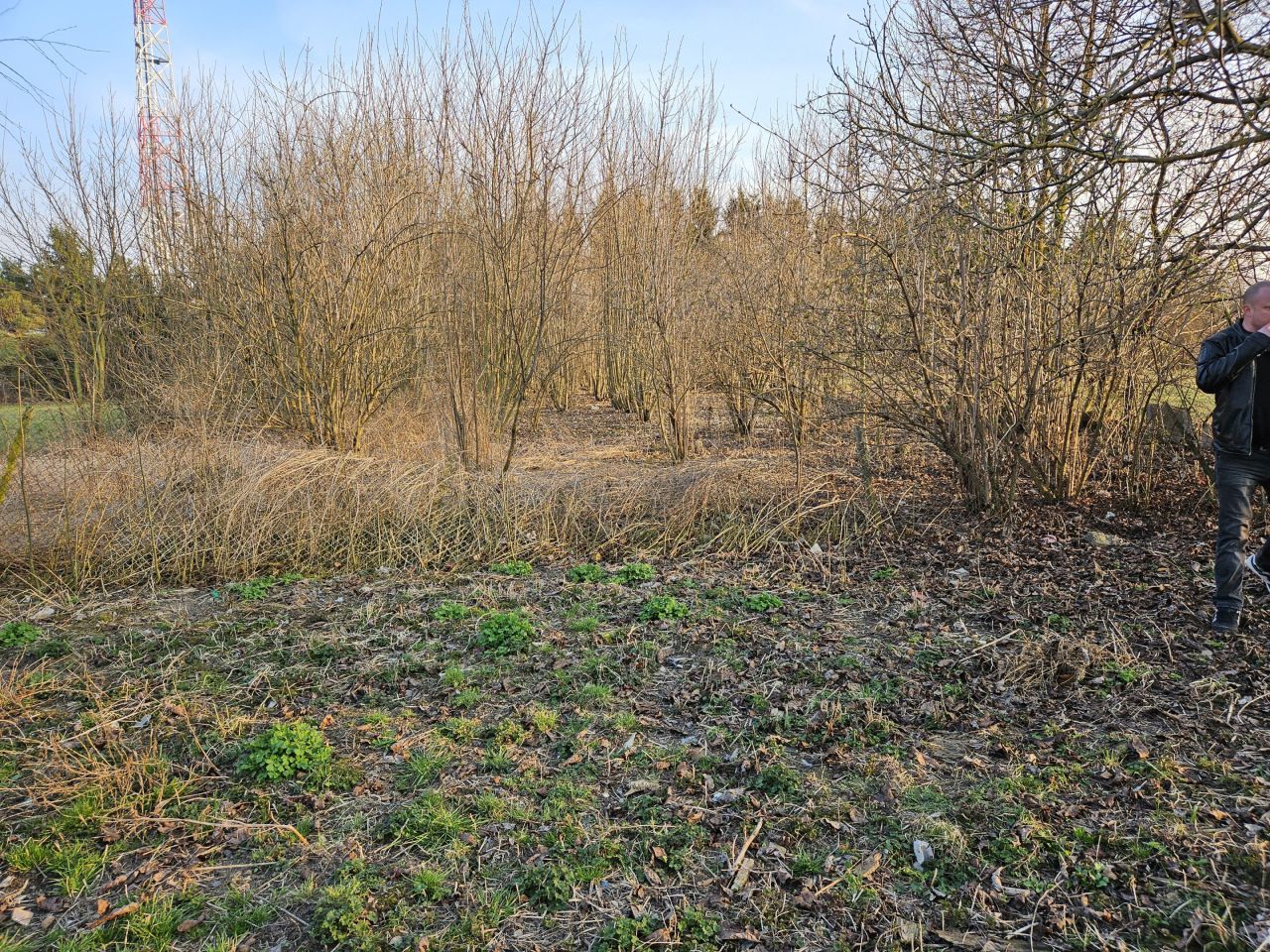 dom wolnostojący, 2 pokoje Zadworze. Zdjęcie 27