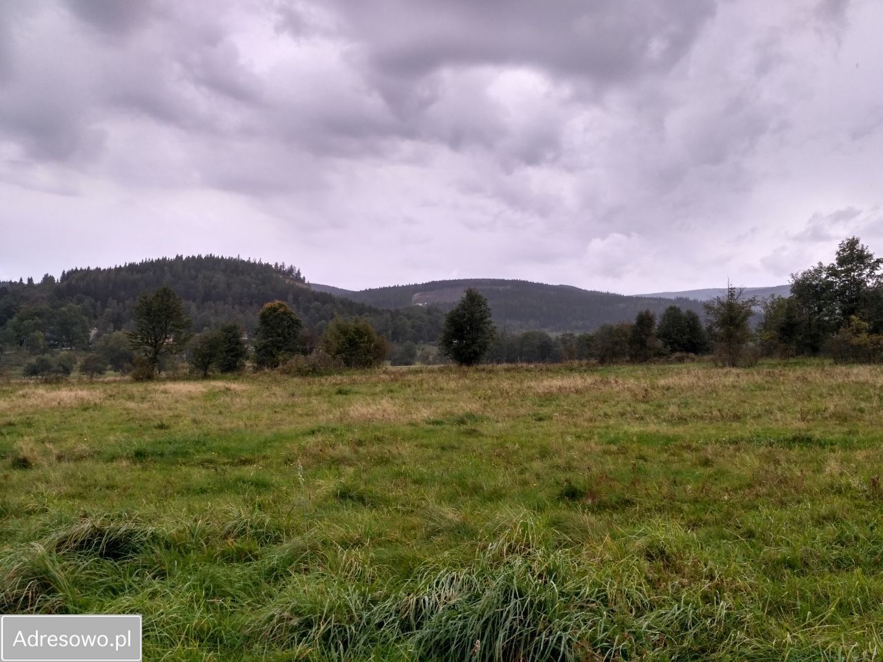 Działka budowlana Leszczyniec