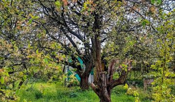 Działka rod Gorzów Wielkopolski