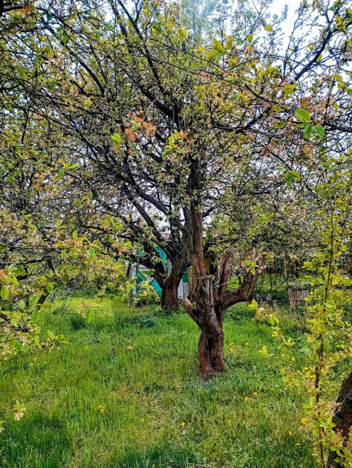 Działka rod Gorzów Wielkopolski. Zdjęcie 2