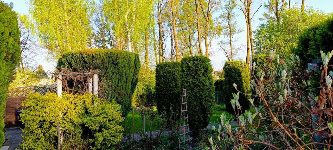 Działka rod Lubin. Zdjęcie 7