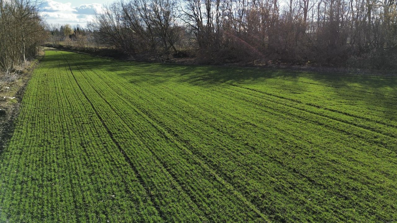 Działka budowlana Święcice, ul. Źródlana. Zdjęcie 2