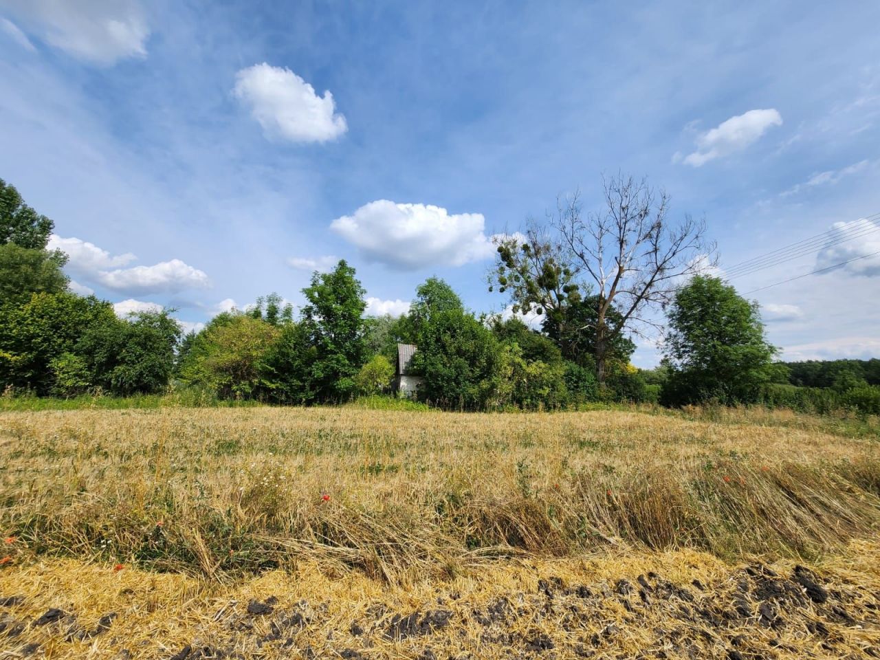 Działka Krowica. Zdjęcie 3