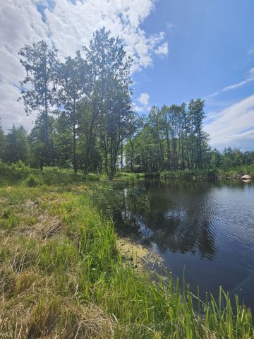 Działka rolno-budowlana Żałe. Zdjęcie 7