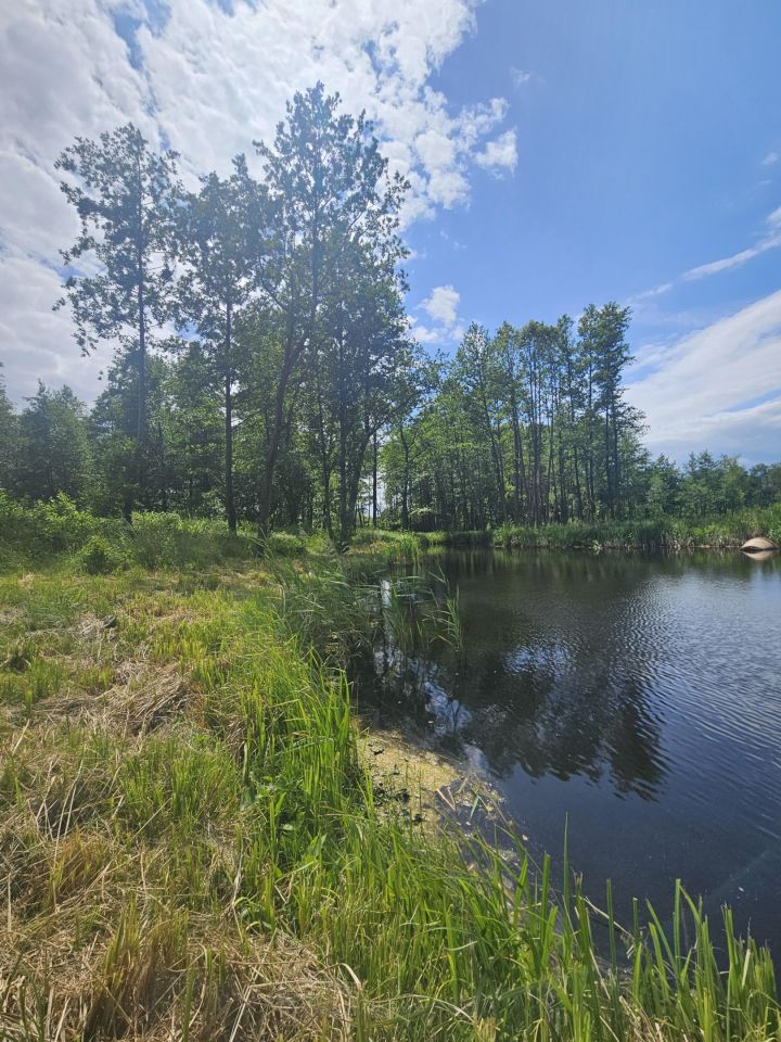 Działka rolno-budowlana Żałe. Zdjęcie 7