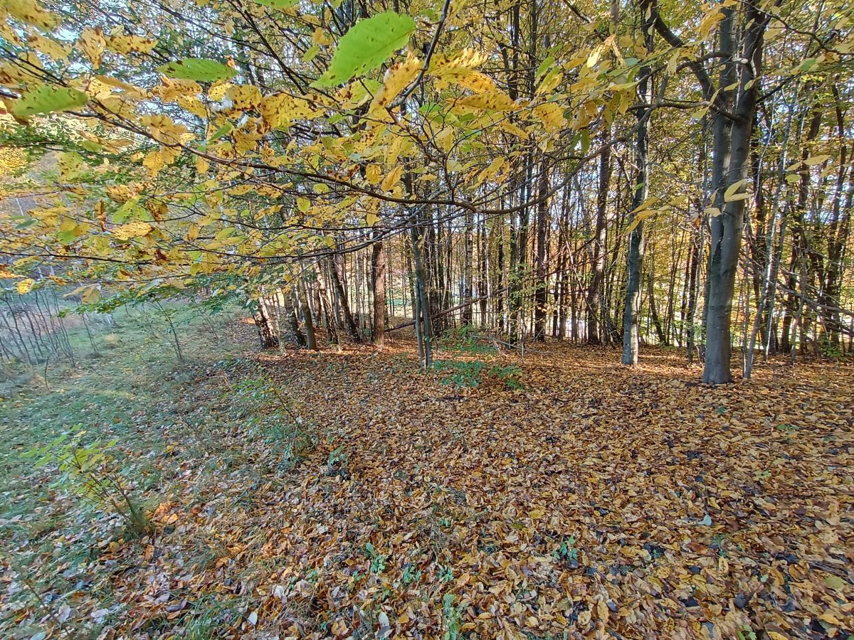 Działka budowlana Gromadzin, ul. Źródlana. Zdjęcie 8