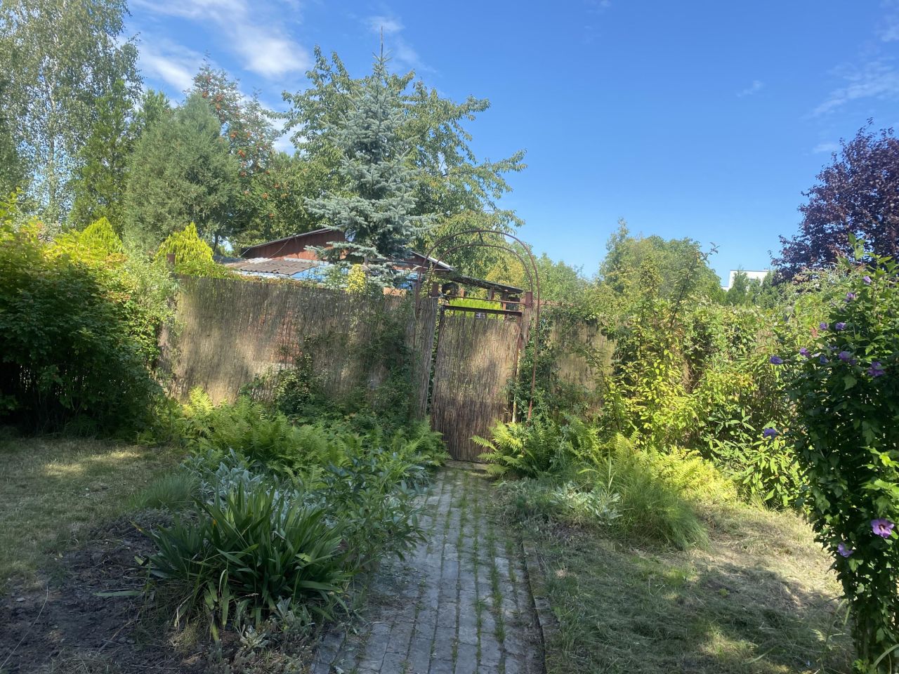 Działka rod Gliwice Stare Gliwice, ul. Józefa Sowińskiego. Zdjęcie 4