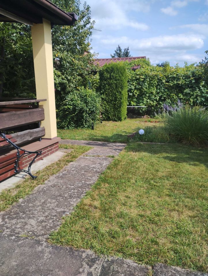 Działka rod Koninko. Zdjęcie 6