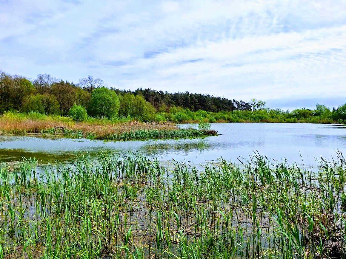 bliźniak, 4 pokoje Rów. Zdjęcie 5