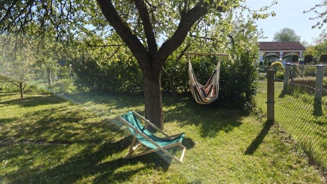 Działka rod Szczecin Żelechowa, ul. Hoża. Zdjęcie 1