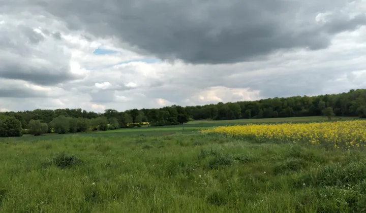 Działka rolno-budowlana Osiek, ul. Dębowa