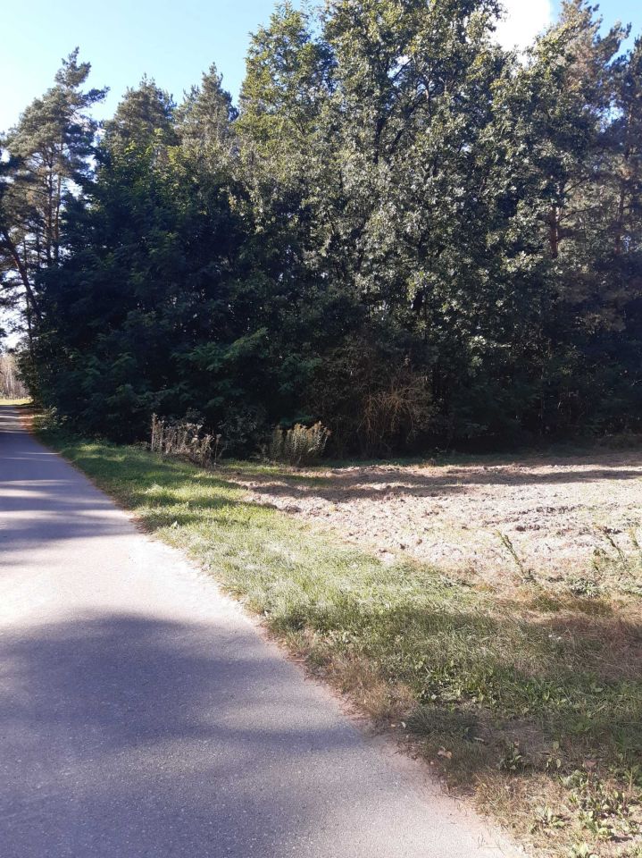 Działka leśna Nowa Wieś-Śladów. Zdjęcie 5