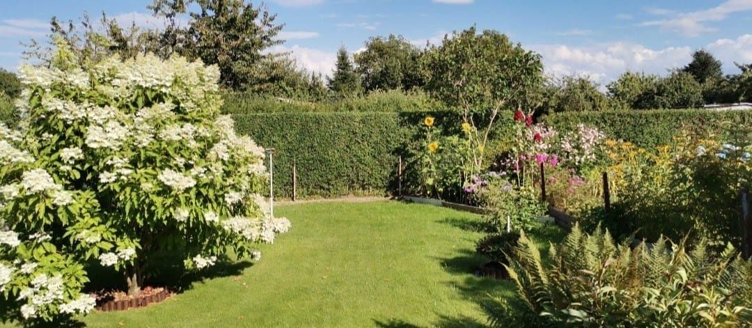 Działka rod Słupsk. Zdjęcie 6