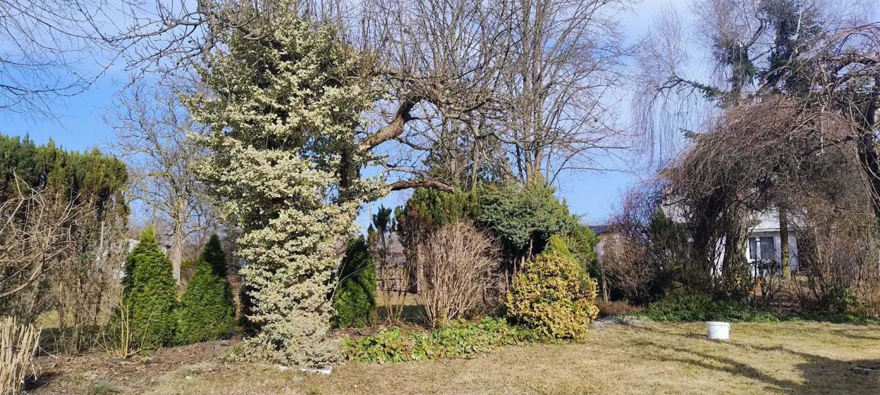 Działka rod Łódź Stoki. Zdjęcie 4