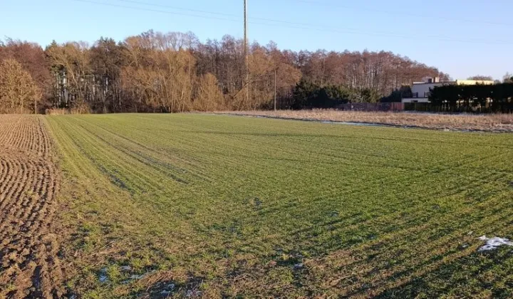 Działka rolno-budowlana Niepruszewo