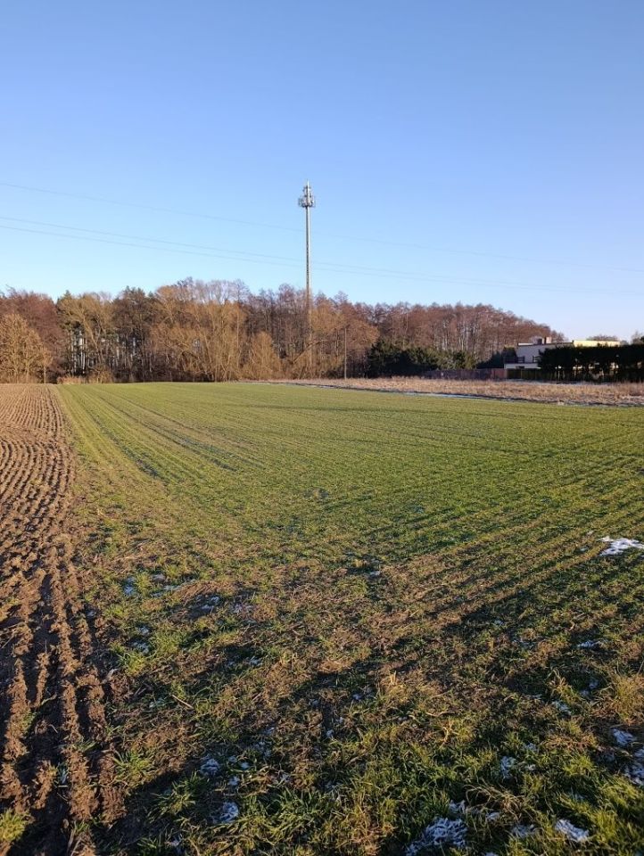 Działka rolno-budowlana Niepruszewo. Zdjęcie 1