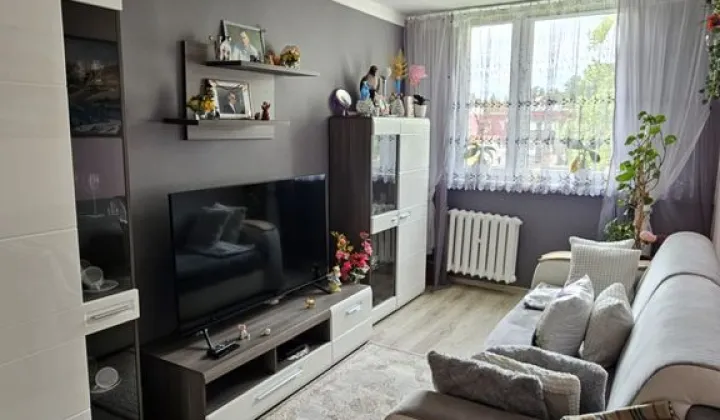 Mieszkanie 2-pokojowe Bolków, ul. Polna