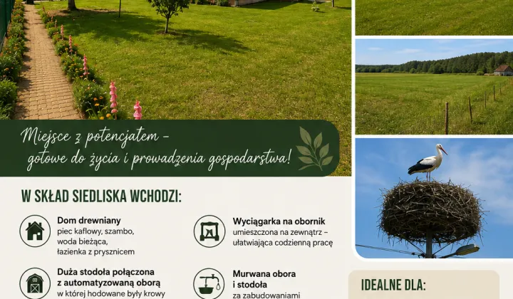 Działka siedliskowa Krosno