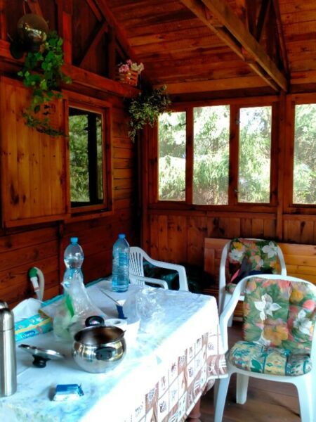 Działka rekreacyjna Kamieńczyk. Zdjęcie 7