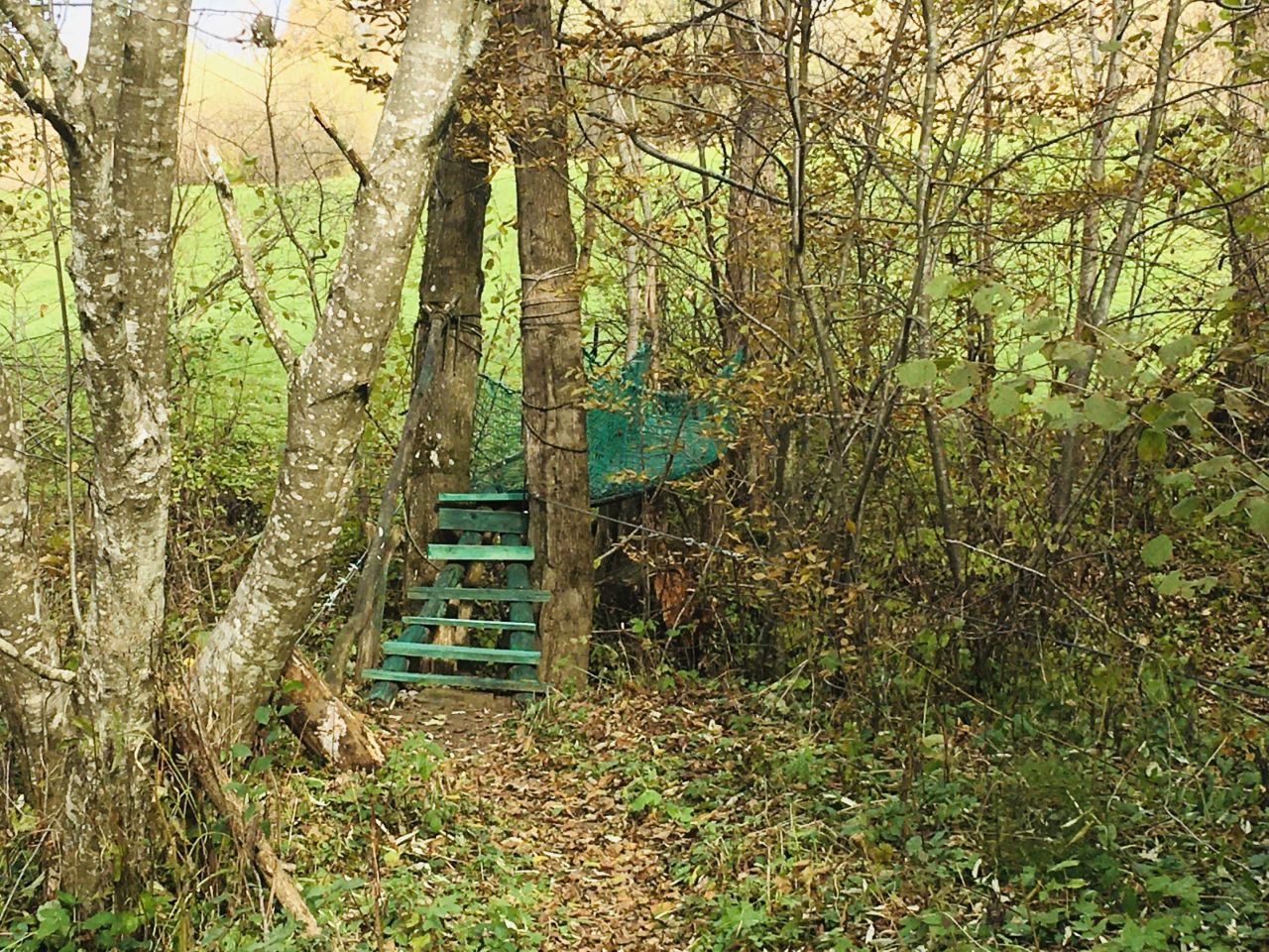 Działka leśna Polana. Zdjęcie 15