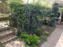 Działka rod Bydgoszcz, ul. Lisia. Zdjęcie 2