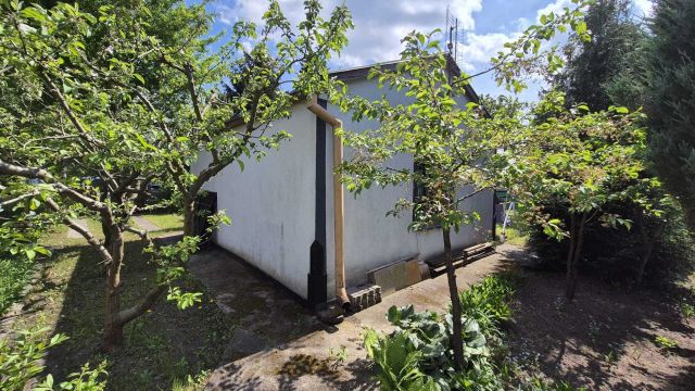 Działka rod Toruń. Zdjęcie 1