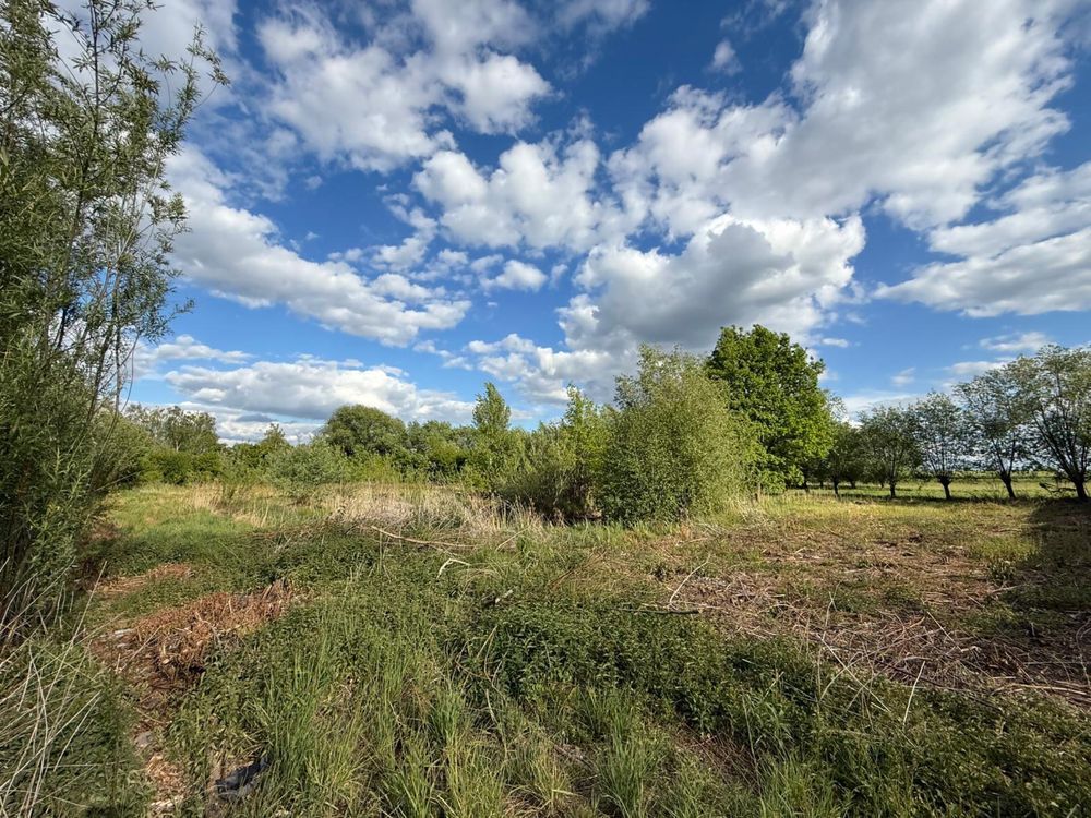 Działka budowlana Przybroda. Zdjęcie 1