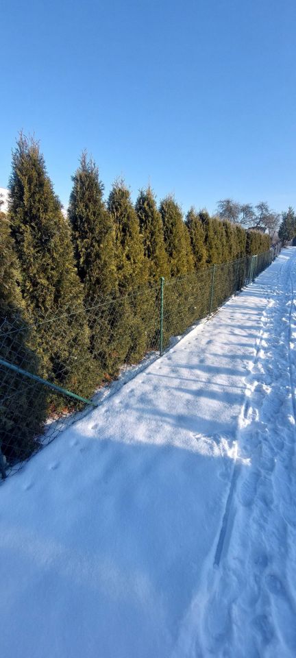 Działka rod Grochowiska. Zdjęcie 1