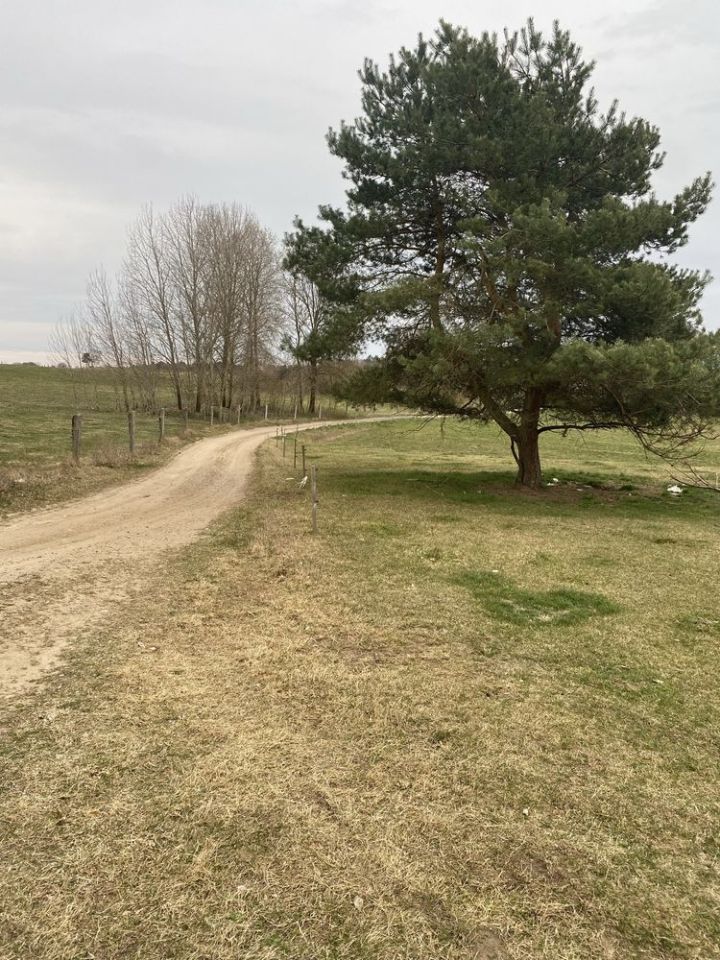 Działka rolno-budowlana Zagozd. Zdjęcie 4