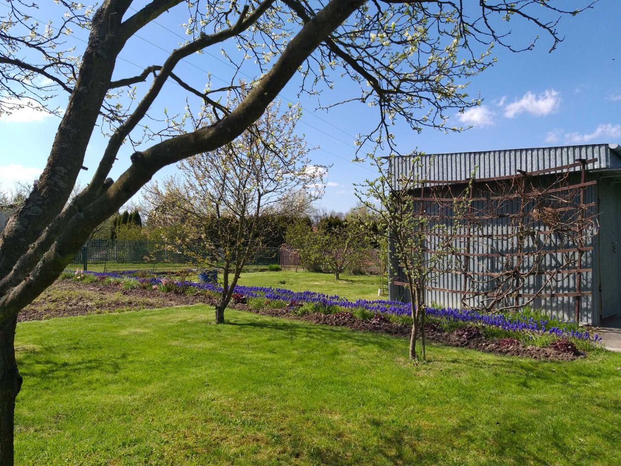 Działka rod Kielce. Zdjęcie 2