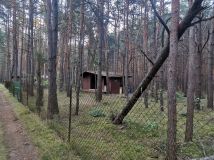 Działka leśna Rokitnica. Zdjęcie 1