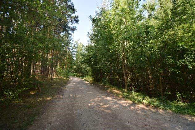 Działka rekreacyjna Kuligów, ul. Leśna. Zdjęcie 3