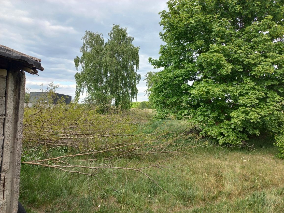 Działka rolno-budowlana Orpelów. Zdjęcie 7